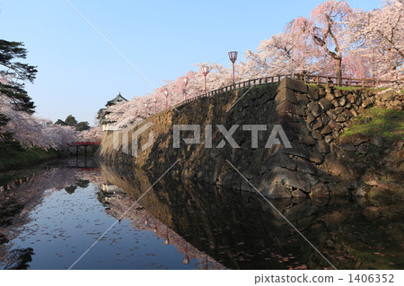 櫻花和弘前城堡 1406352