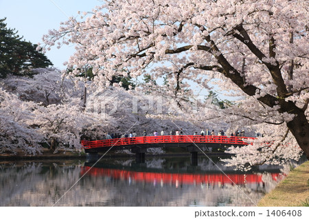 Hirosaki Park Sakura and Chunyang Bridge 1406408