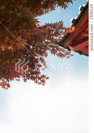maple, red leafe, tenmangu shrine 1406524