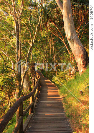 Noosa / Dolphin Point Promenade 1406704