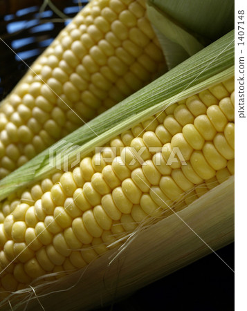 corn corn 1407148