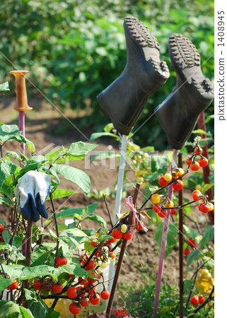 鄉村景觀 1408945