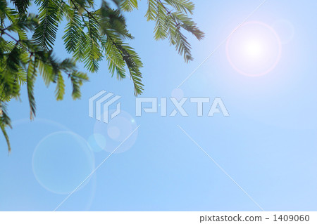 Metasecoa離開和CG太陽在晴朗的天空 1409060
