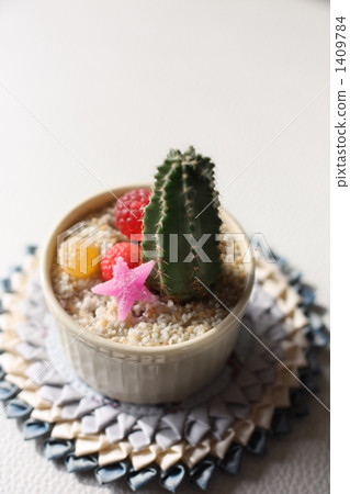 Mini cactus 1409784