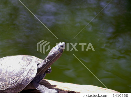 伸展 伸展 1410268