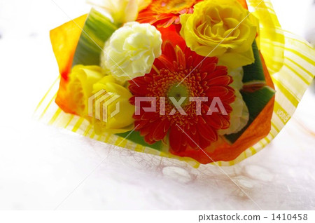 carnation, carnations, gerbera 1410458