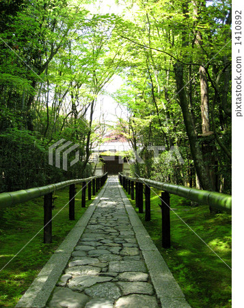 高桐院 花園 參拜路線 1410892