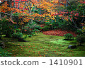 okochi sanso, landscaping, moss 1410901