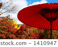 japanese umbrella, parasol, autumn 1410947