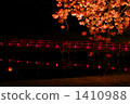 cherry blossoms at night, cherry trees in the evening, hamarikyu gardens 1410988