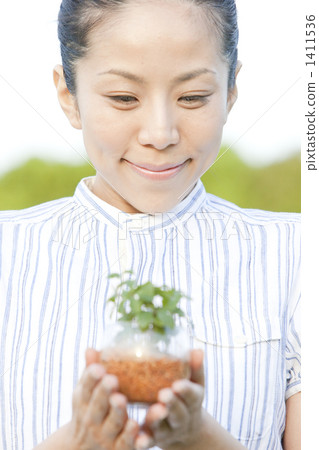 翠綠 自然 生態學 1411536