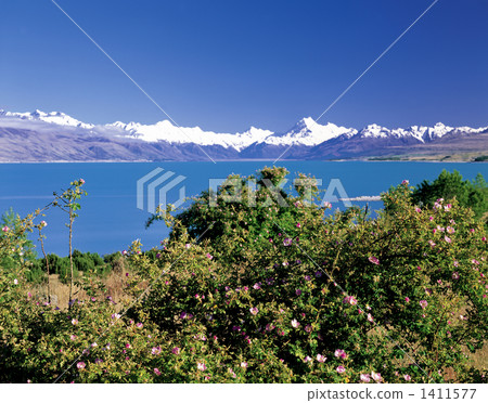 庫克山的視圖 1411577