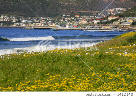 開普敦半島的坎普斯灣 1412148
