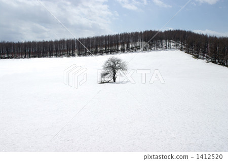 Snow scene 1412520