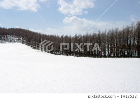 Windproof forest 1412522