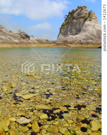 岩石地帶 淺灘 海膽 1412673