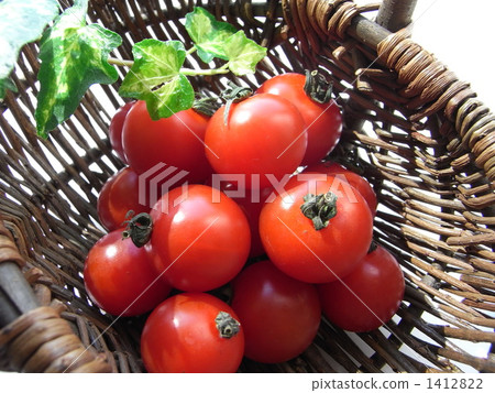 Crimson basket tomato in red 1412822