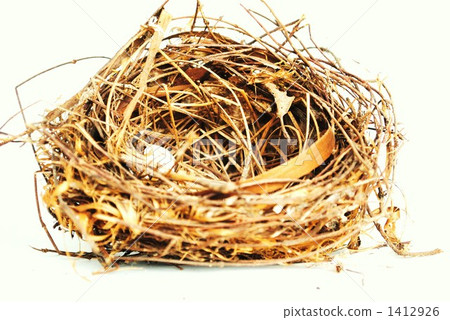 The bird's nest 1412926