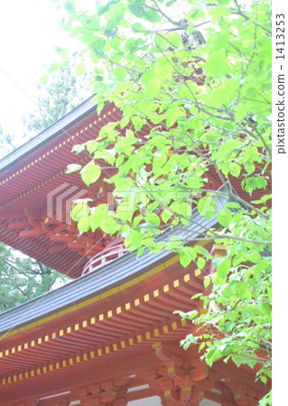 Around fresh green Around fresh green 1413253