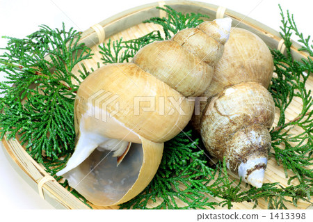 A bail shell 1413398