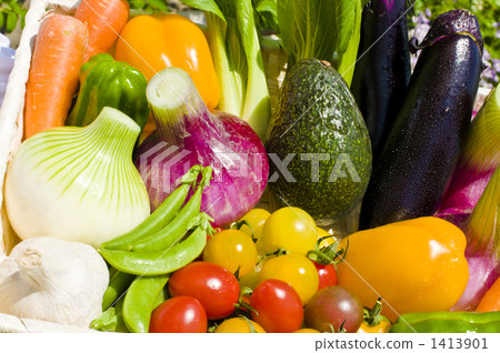 carrots, carrot, bulb onion 1413901