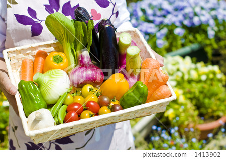 kitchen garden, vegetables, vegetable 1413902