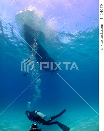 海底的 海裡 潛水員 1414079