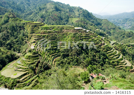 Cordillera Rice Terrace Group 1416315