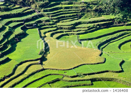 Bangaan的水稻露台 Bangaan的水稻露台 1416408