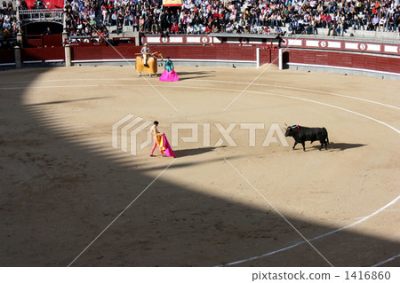 One of the largest bullrings in Madrid. The battle between cattle and matador begins One of the largest bullrings in Madrid. The battle between cattle and matador begins 1416860