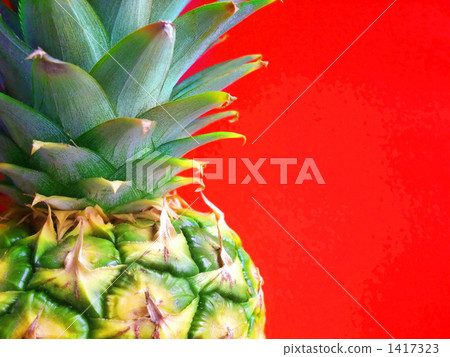 菠蘿 1417323