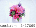 carnation, carnations, chinese peony 1417865