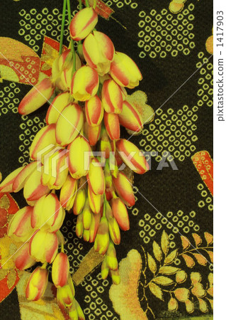 ixia, japanese pattern, bud 1417903