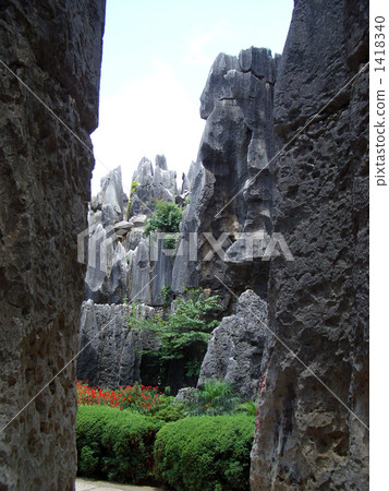 A strange rock of stone forest 1418340