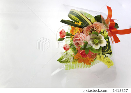 bloom, blossom, blossoms 1418857