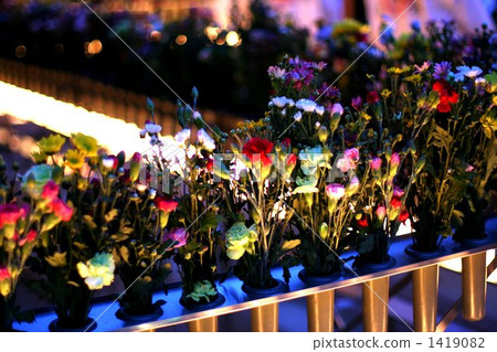 捐助者的提供 1419082