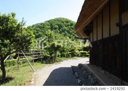 福井市 茅草屋頂 泥巴牆 1419292