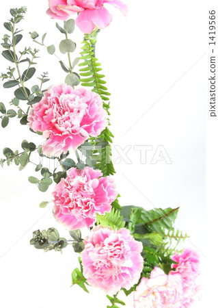 Flower arrangement Carnation 1419566