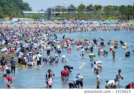 shellfish gathering, crowd of people, blue water 1419825