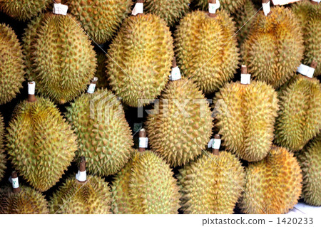 durian, king of fruits, made in thailand 1420233