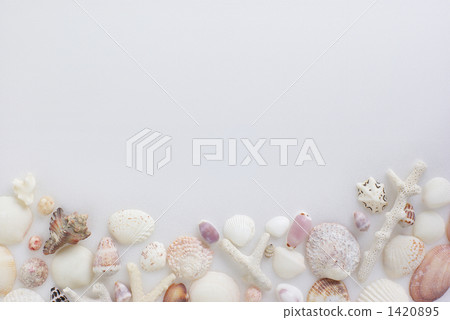 Seashell image (Yoko) 1420895