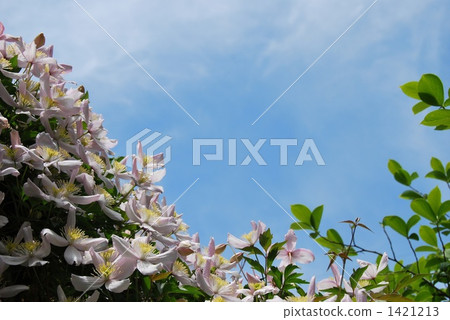 Montana and blue sky Montana and blue sky 1421213