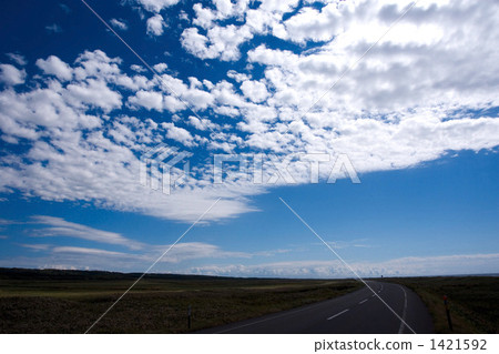 Orolon line · summer landscape 1421592