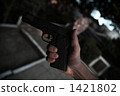 pistol 1421802
