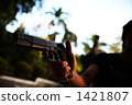 pistol 1421807