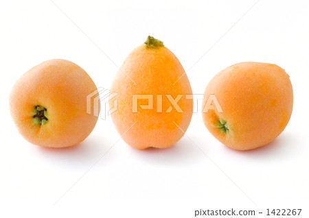 Loquat 1422267