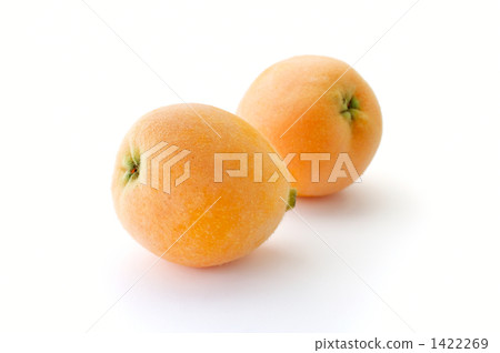 Loquat Loquat 1422269