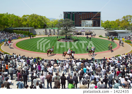 小牧場 跑馬 伏見區 1422435