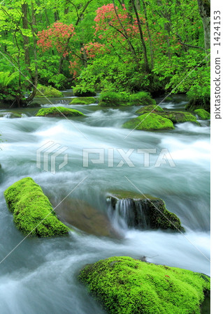 Oirase stream of fresh green Oirase stream of fresh green 1424153