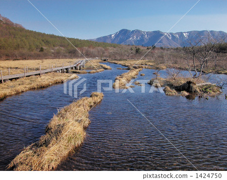 When the Numabara moor sprouts 1424750